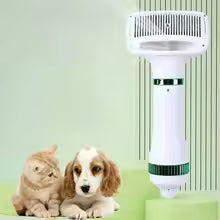 Secador y Cepillo para Mascotas 2 en 1