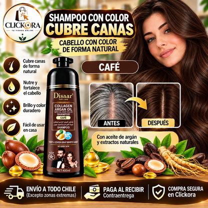 Shampoo pinta Canas Dissar™