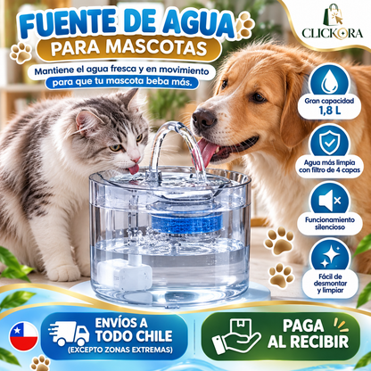 Bebedero Mascotas Transparentes
