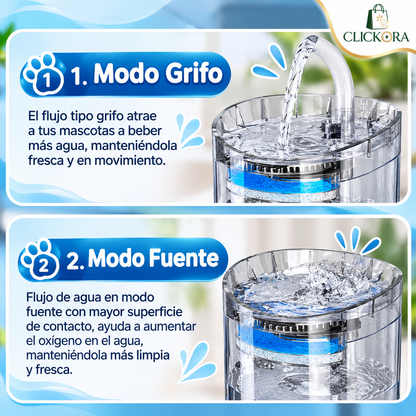 Bebedero Mascotas Transparentes