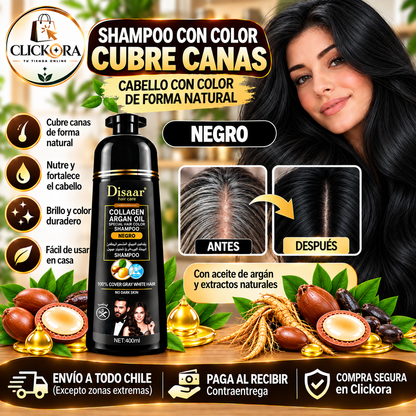 Shampoo pinta Canas Dissar™