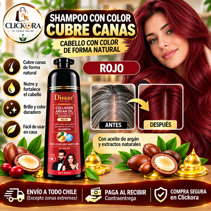 Shampoo pinta Canas Dissar™