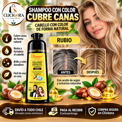 Shampoo pinta Canas Dissar™