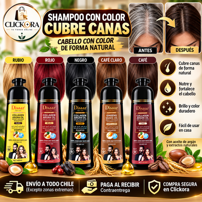 Shampoo pinta Canas Dissar™